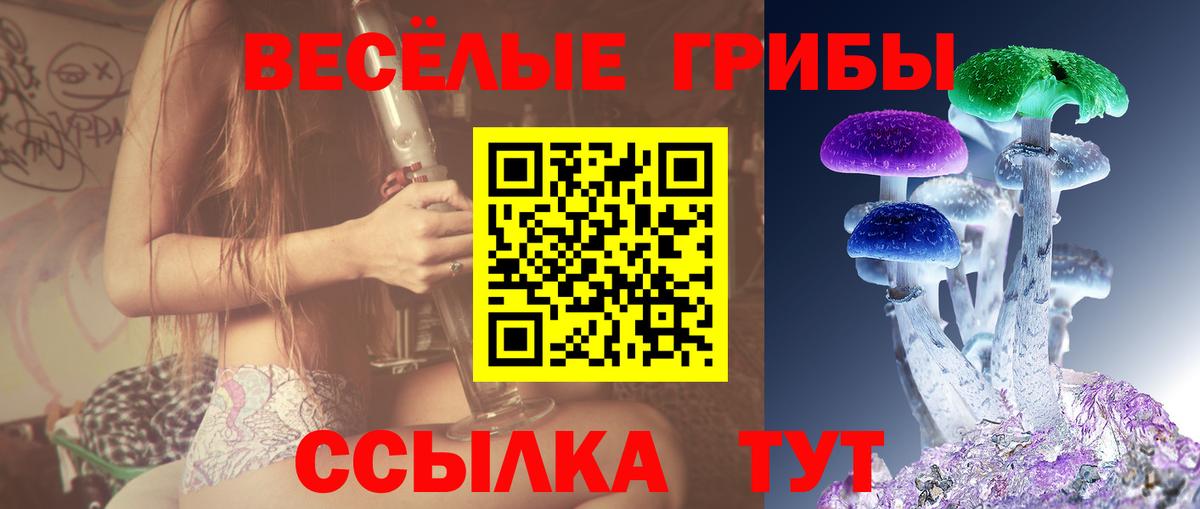 Галлюциногенные грибы ЛСД Псков