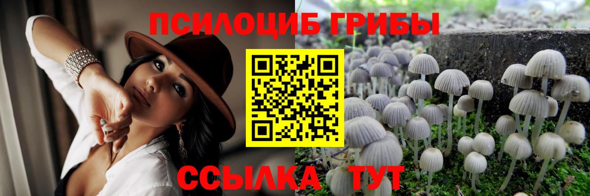 Псков  Псилоцибиновые грибы мухоморы  Галлюциногенные грибы Cubensis  Вход с VPN 